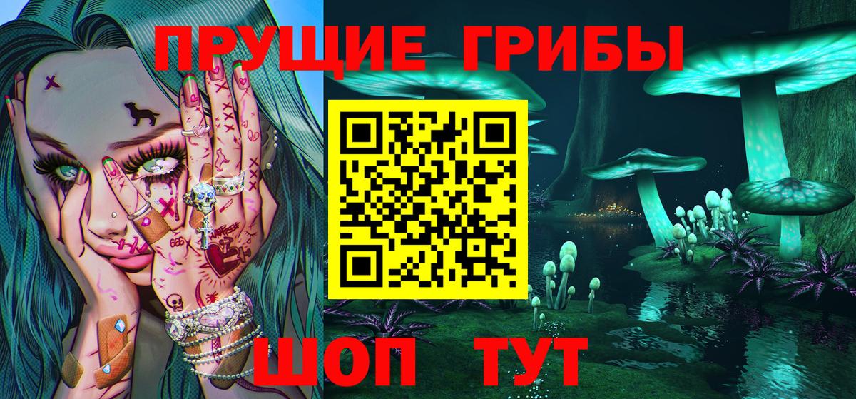 Псилоцибиновые грибы GOLDEN TEACHER Сосновоборск